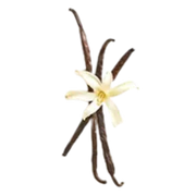 Vanilla