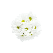 Powdery Florals