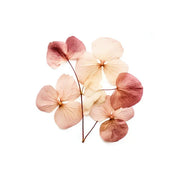 Powdery Florals & Aldehydes