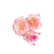 Classic Florals